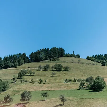 Διαμέρισμα Moderne 2 Zi.-fewo Blackforest Art Barrierefrei Naehe Freiburg Simonswald