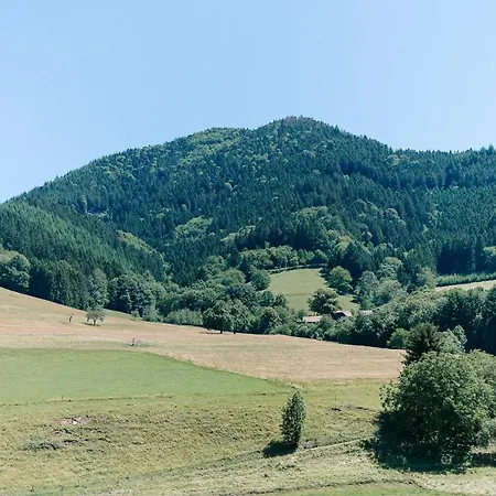 Апартаменты Moderne 2 Zi.-fewo Blackforest Art Barrierefrei Naehe Freiburg