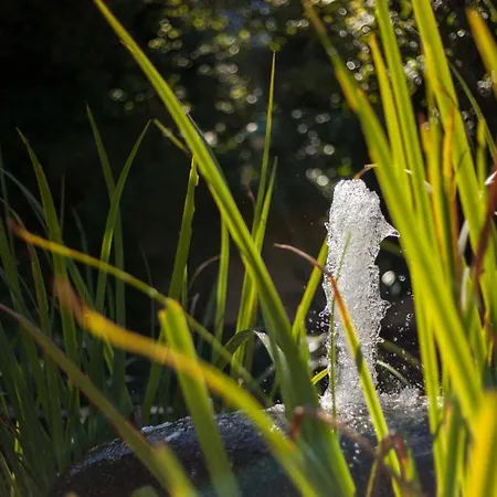 Moderne 2 Zi.-fewo Blackforest Art Barrierefrei Naehe Freiburg Διαμέρισμα Simonswald