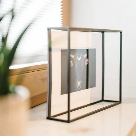 Apartmán Moderne 2 Zi.-fewo Blackforest Art Barrierefrei Naehe Freiburg Simonswald
